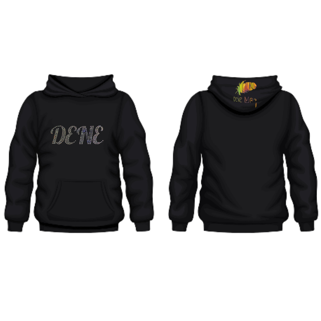 DENE in Rhinestone Sweater